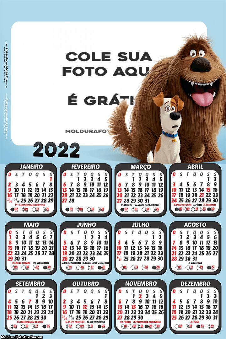 Calendário Pets A Vida Secreta dos Pets 2022