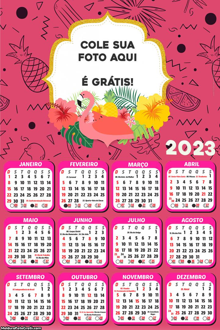 Calendário Flamingo Rosa 2023