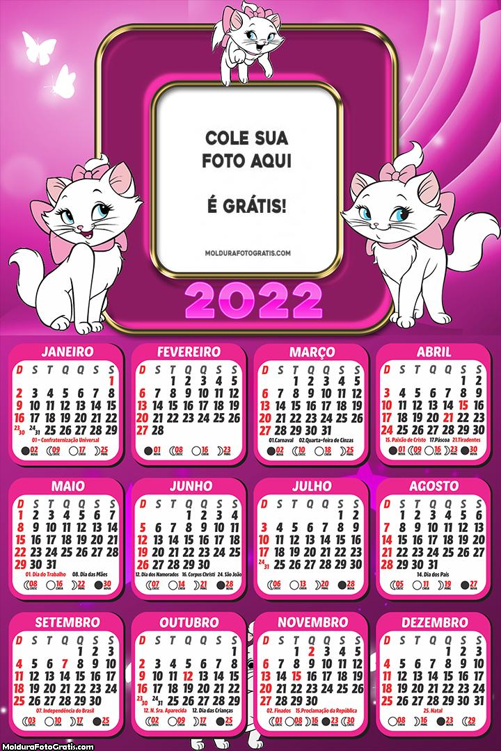 Calendário Gatinha Marie 2022