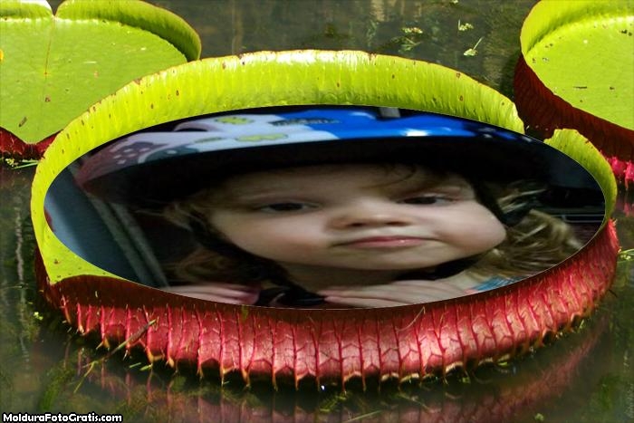 Vitória Régia Moldura para Foto Montagem