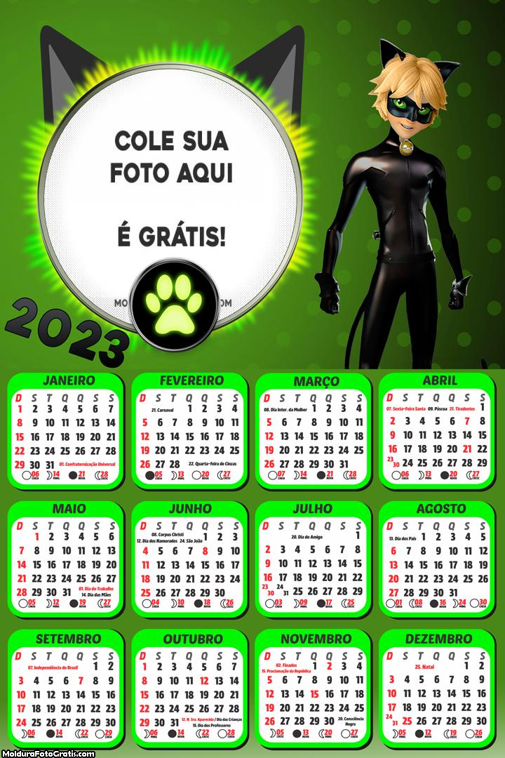 Calendário Personagem CatNoir 2023