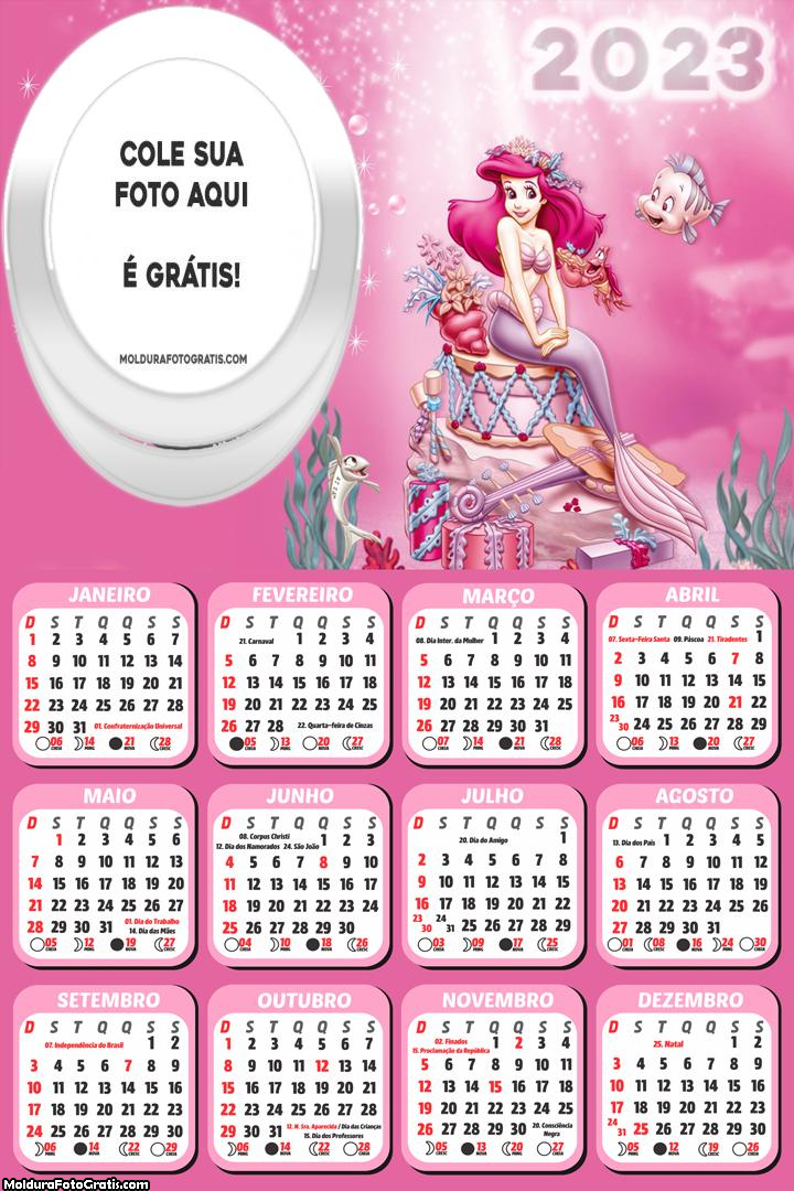 Calendário Ariel Rosa Fundo do Mar 2023