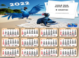 Calendário Araras Azuis Rio 2022