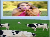 Vaca Leiteira no Campo Moldura